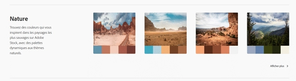 exemple de palette de couleurs disponible sur Adobe Color pour chercher l'inspiration